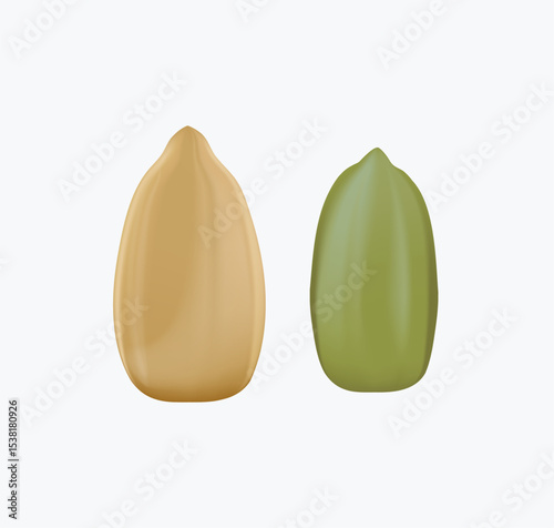 Pumpkin seeds 3D render realistic vector illustration isolated on white background. Closed and open pumpkin seed. Selection for cereal and snacks. Package design element