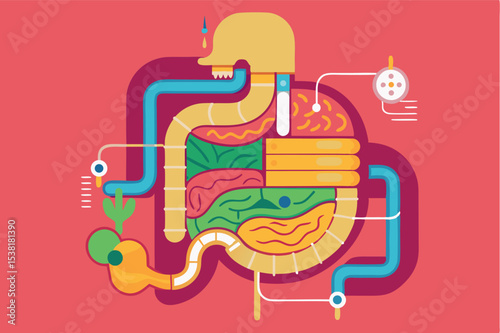 Diagram illustrating the human digestive system with colorful elements and clear pathways representing digestion process