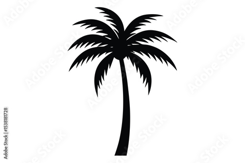 palm tree silhouette