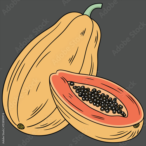  food vector