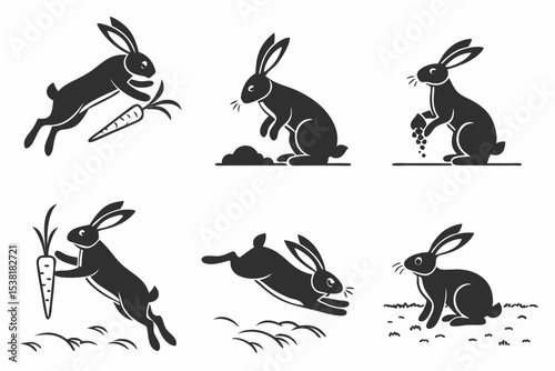 set of rabbits
