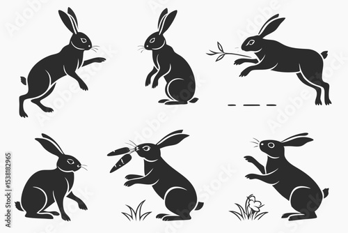 set of rabbits