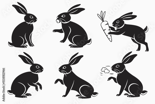 set of rabbits
