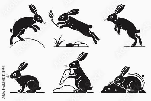 set of rabbits