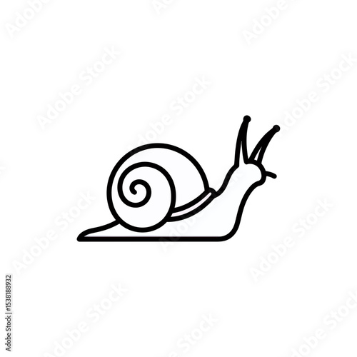 Minimalist Snail Line Art Illustration: Simple Mollusk Outline for Design and Creative Projects