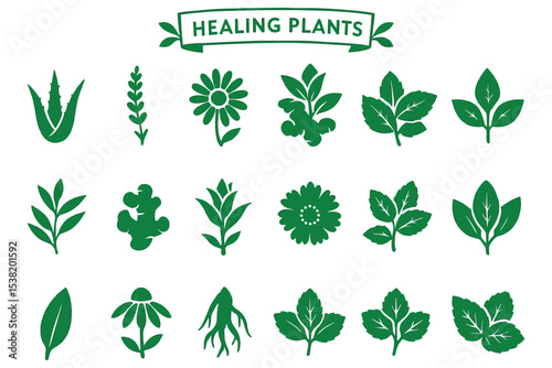 Herbal Healing Plant Silhouettes Collection for Natural Medicine and Wellness Design