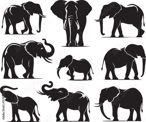 Set of elephant silhouettes vector