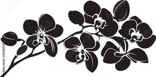 Elegant Black and White Orchid Illustration
Vintage Botanical Orchid Line Art
Monochrome Floral Tattoo Design – Orchid Bloom