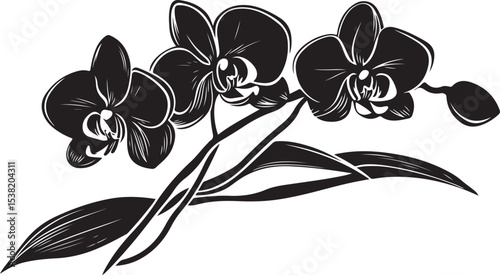 Elegant Black and White Orchid Illustration
Vintage Botanical Orchid Line Art
Monochrome Floral Tattoo Design – Orchid Bloom