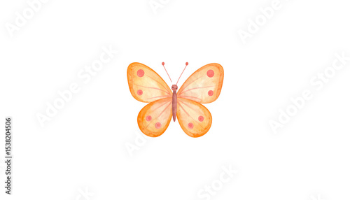 Graceful butterfly, orange and yellow insect on a flower with spread wings, showing the bright beauty of nature, isolated on white background.
