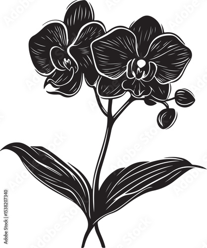 Elegant Black and White Orchid Illustration
Vintage Botanical Orchid Line Art
Monochrome Floral Tattoo Design – Orchid Bloom