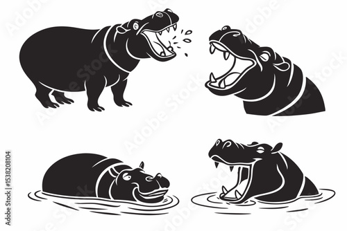 black and white rhino