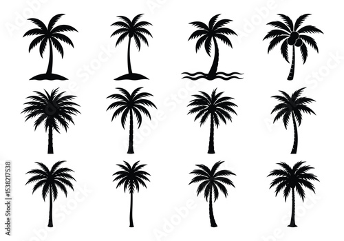 Collection of Vector Tropical Palm Tree Silhouettes for Design on white background 