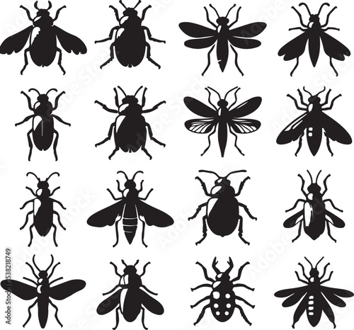 Set of Flat insects silhouettes vector