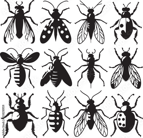 Set of Flat insects silhouettes vector