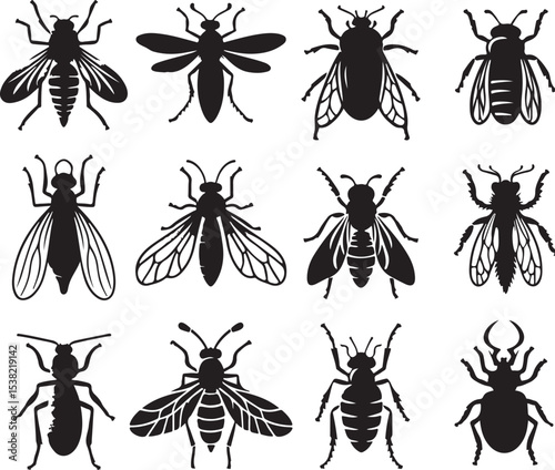 Set of Flat insects silhouettes vector