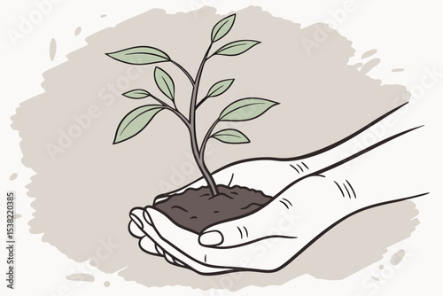Caring Hands nurturing a young plant seedling growth sustainability nature eco friendly environment