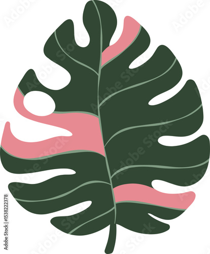 Monstera Leaf Illustration