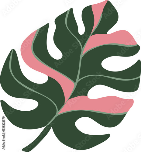 Monstera Leaf Illustration