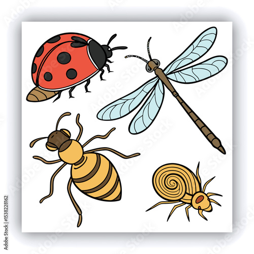 Watercolor dragonfly set png. Realistic watercolor dragonfly on transparent background. Watercolor insects. Nature and botany concept. Vector illustration.