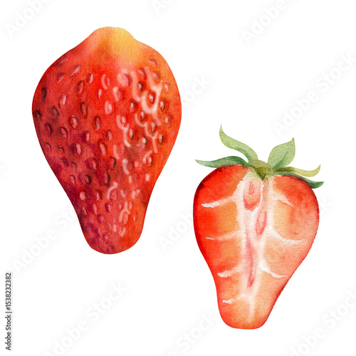 Strawberry ripe fruit with leaves crown full and cut in half hand drawn in watercolor, garden strasberry berry. Botanical isolated illustration. Home preserves cookbook, grocery store food closeup
