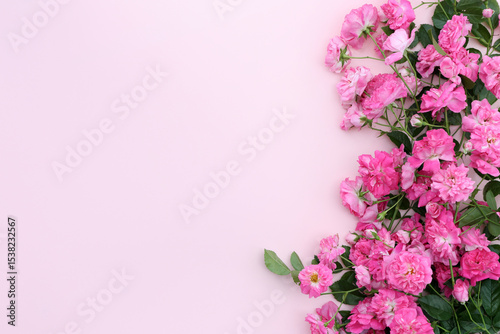 Pink roses on soft pink backdrop with copy space on the left.