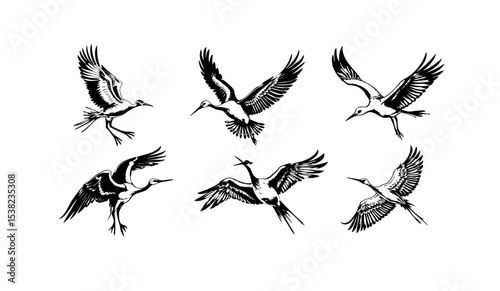 Crane Vector Sheet 2025