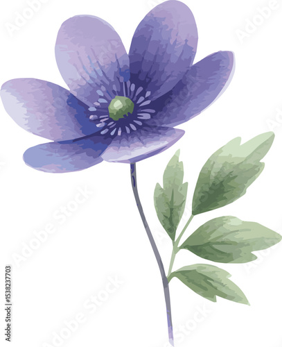 Vector watercolor painted illustration of a violet flower