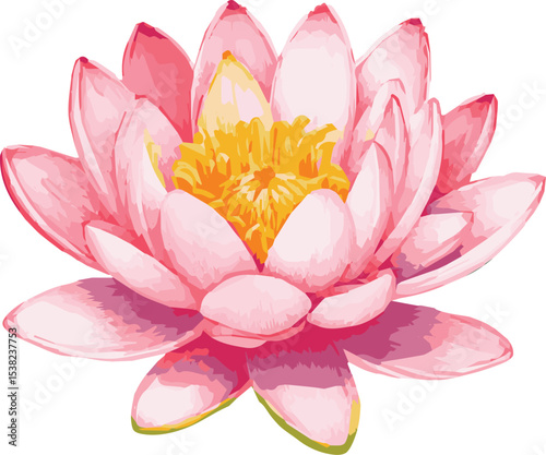 Watercolor vector illustration of a waterlily flower in soft colors