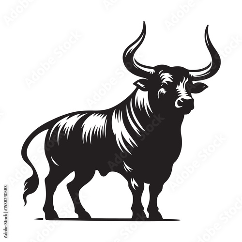 black and white bull