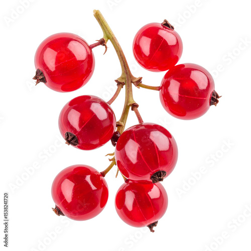 Fresh ripe red currants isolated on white.
