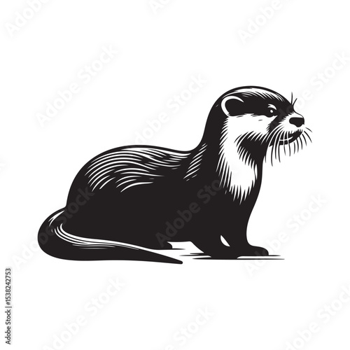 vector illustration of a black bear