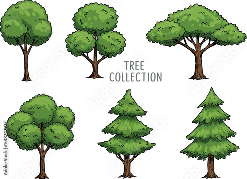 Cartoon Tree Collection: Green Deciduous & Conifer Icons

