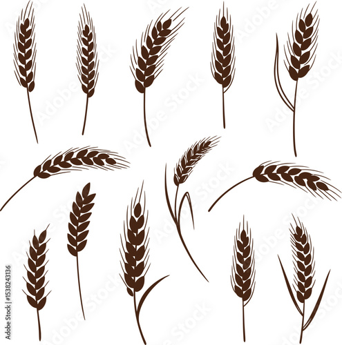 Wheat Ears & Grains Vector Set: Harvest & Bakery Elements


