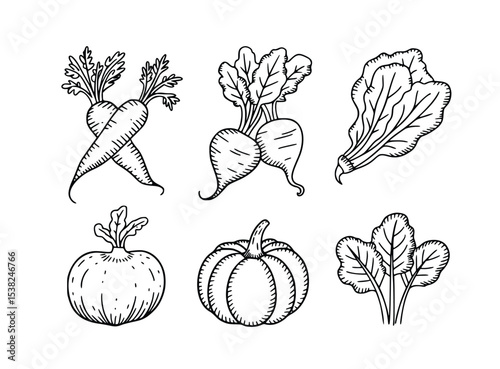 Fresh Vegetable Line Art Icons Collection perfect for cooking blogs, farm markets, and healthy eating websites, silhouette