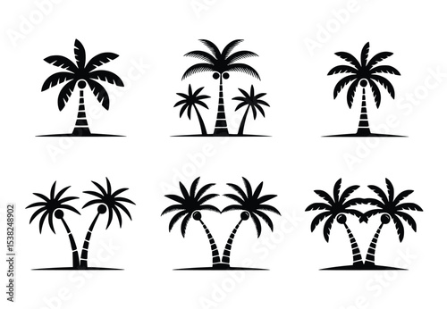 Collection of elegant black palm tree silhouettes ideal for tropical designs summer branding vacation themes and beach illustrations