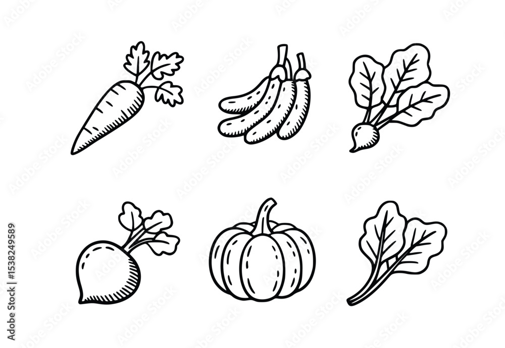 Hand Drawn Vegetable Illustrations Carrot Beetroot Pumpkin Banana Farm Fresh Produce Sketch, silhouette Hand Drawn Vegetable Illustrations Carrot Beetroot Pumpkin Banana Farm Fresh Produce Sketch, silhouette