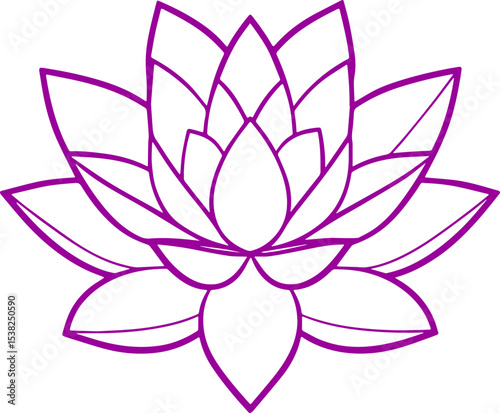 lotus flower vector illustration 