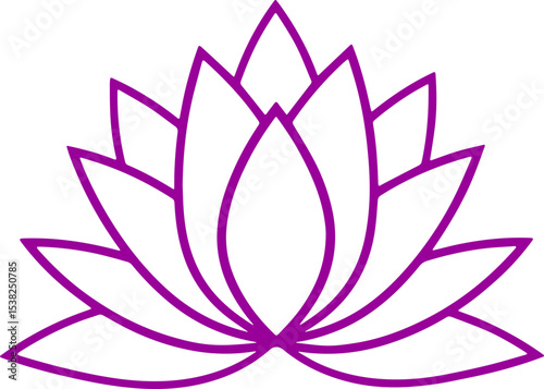 lotus flower vector illustration 