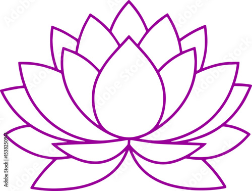 lotus flower vector illustration 