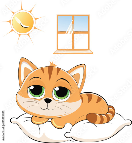 Cute orange kitten resting on a pillow with sunshine and window