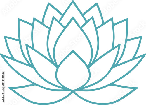 lotus flower vector illustration 