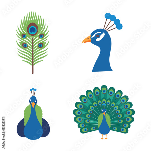 A flatstyle illustration of peacock parts tail fan single feather full body and profile head