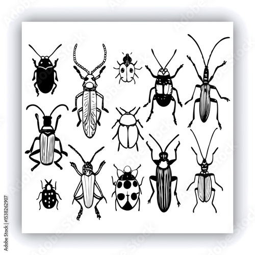 Set of insect illustrations, butterfly, caterpillar, cricket, ant, rhinoceros beetle, stag beetle, ladybug, cockchafer, realistic in 3d style.