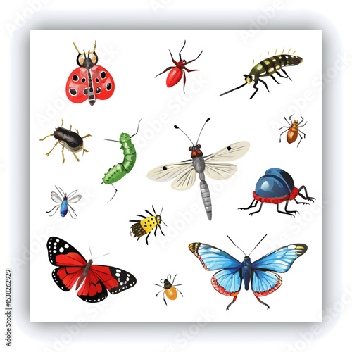 Set of insect illustrations, butterfly, caterpillar, cricket, ant, rhinoceros beetle, stag beetle, ladybug, cockchafer, realistic in 3d style.