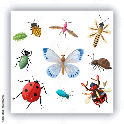 Set of insect illustrations, butterfly, caterpillar, cricket, ant, rhinoceros beetle, stag beetle, ladybug, cockchafer, realistic in 3d style.