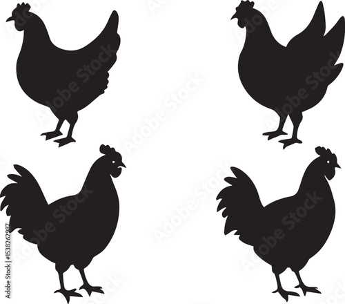 Silhouette of Four Chickens