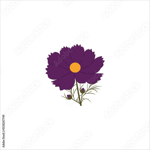 Flower illustration