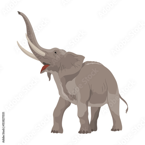 Flat vector elephant in poses African of Asian animal with large ears and long trunk. Wildlife theme
