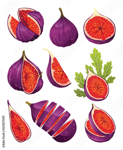 Fig Fruit Whole and Cut with Thin Skin and Many Small Seeds Inside Vector Set